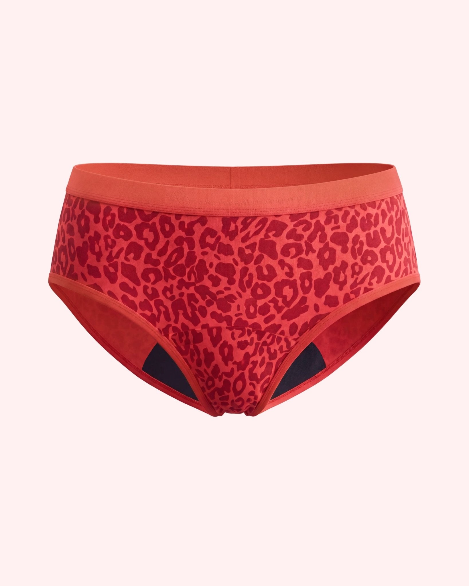 the-female-company-extra-strong-hipster-teens-period-panty image 2