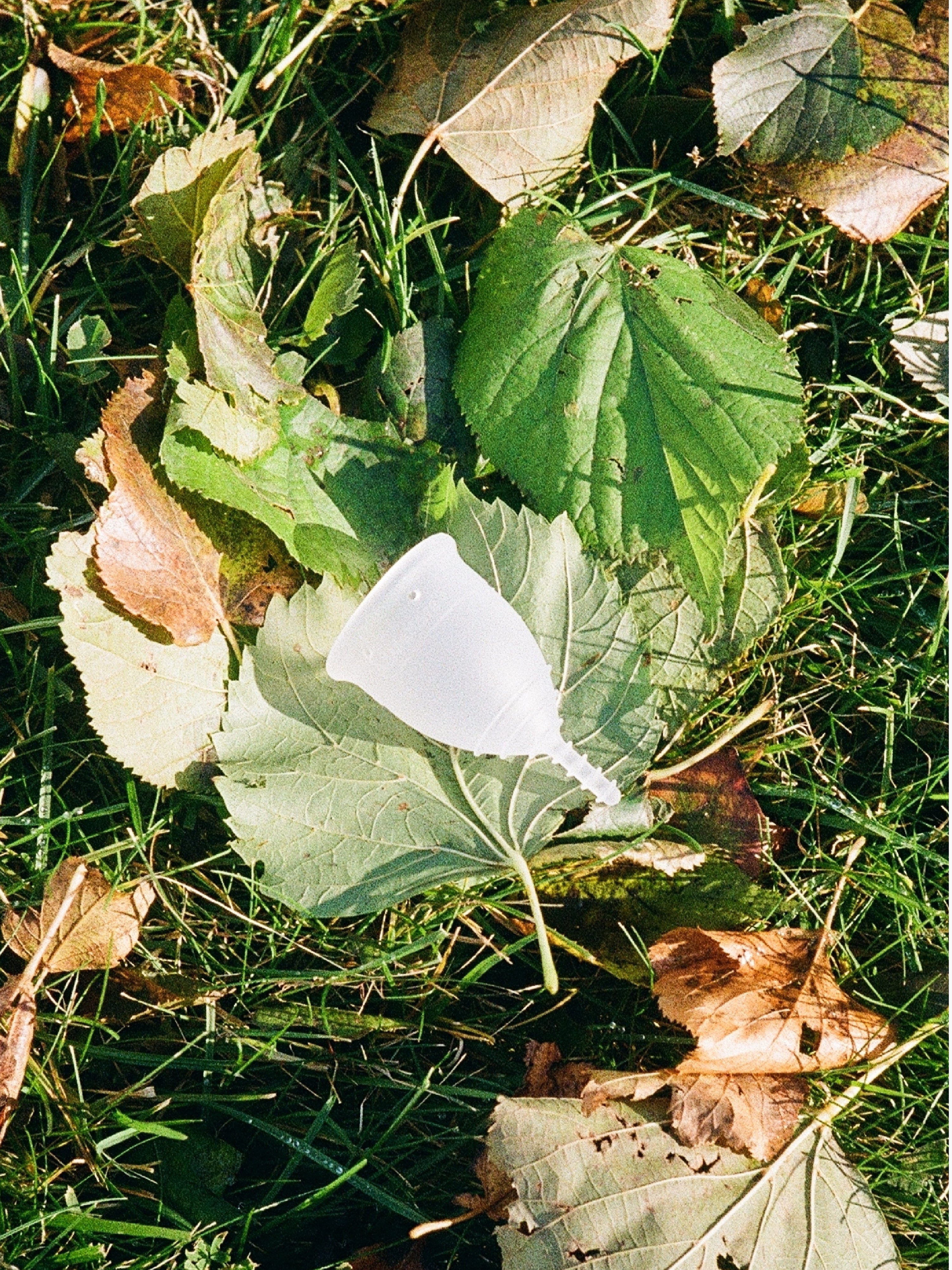 allmatters-organicup-menstruationstasse-doppelpack-gr-e-a-gr-e-b image 5