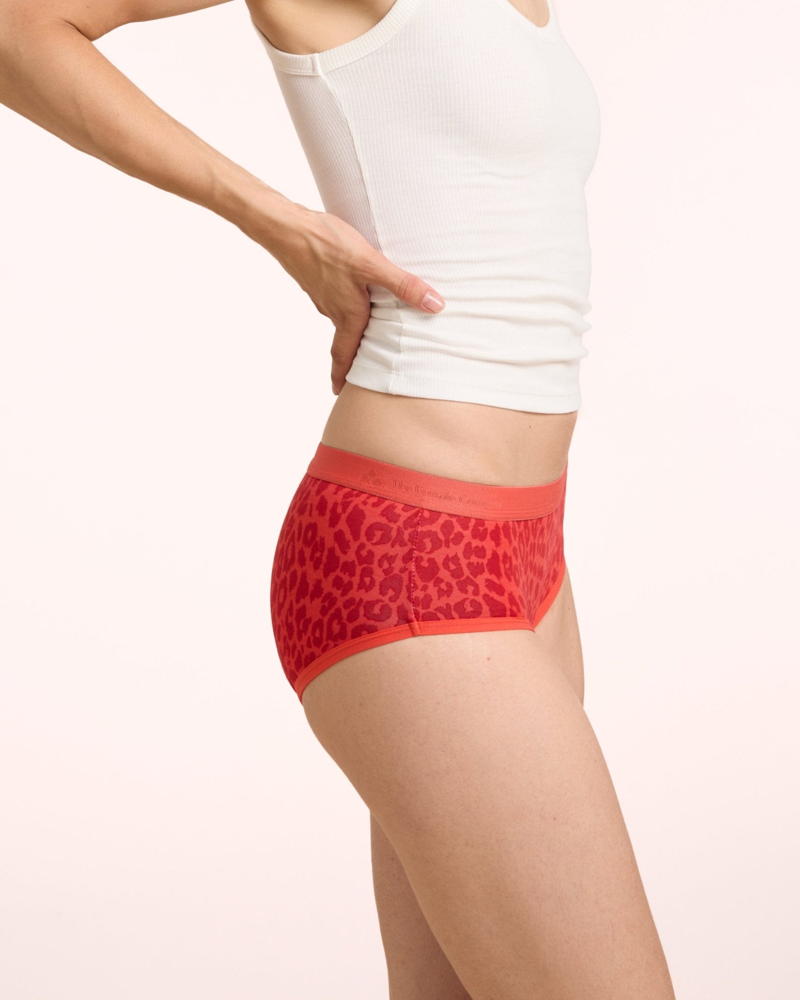 the-female-company-extra-strong-hipster-teens-period-panty image 6