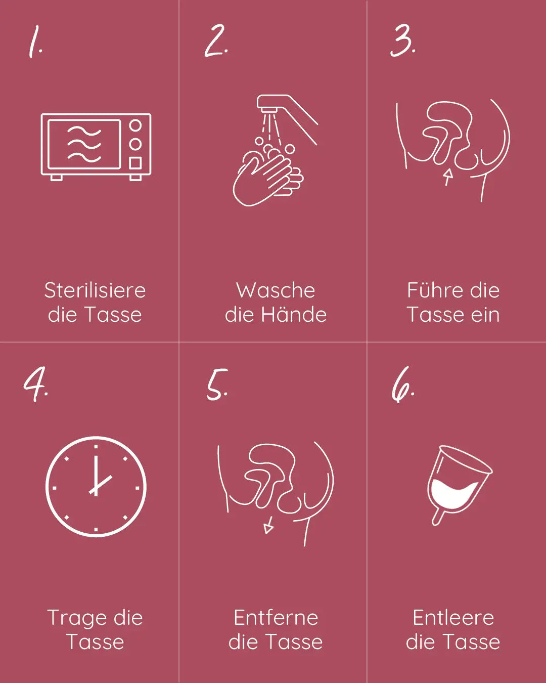 mylily-bundle-menstruationstasse-reinigungs-case-beere image 5