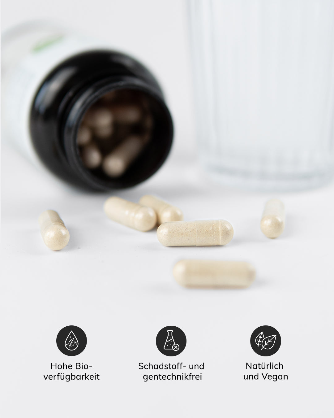 mylily-fembalance-m-nchspfeffer-maca-wurzel-mit-vitamin-b12 image 2