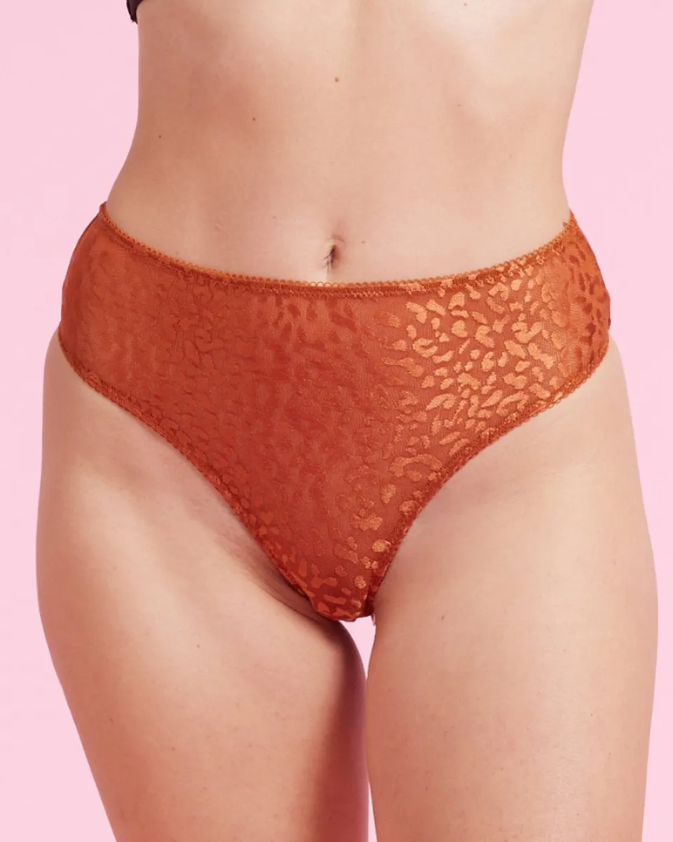 the-female-company-slip-leo-luxury-mesh-unterw-sche image 1