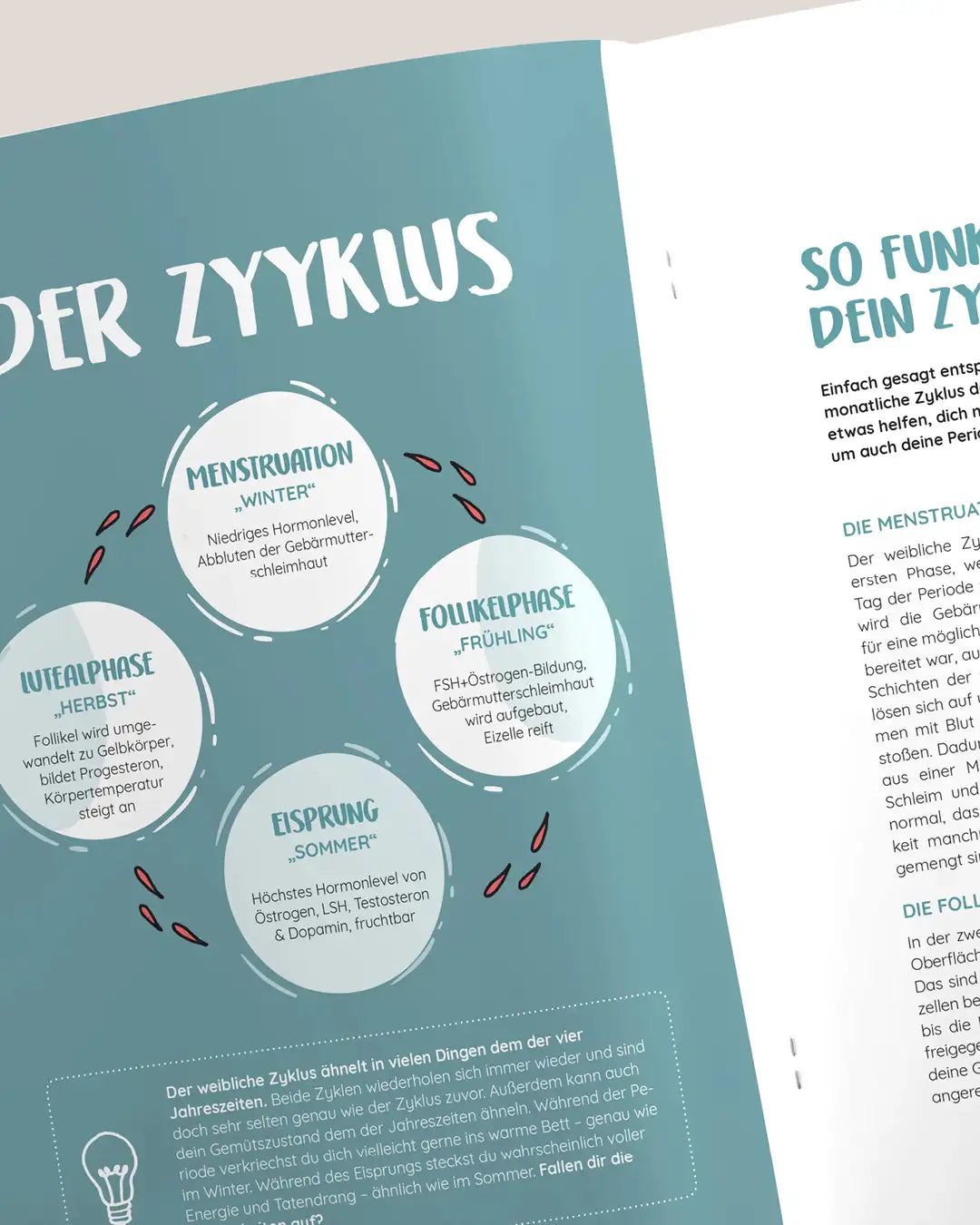 mylily-periodicle-aufkl-rungsmagazin-1-auflage image 2