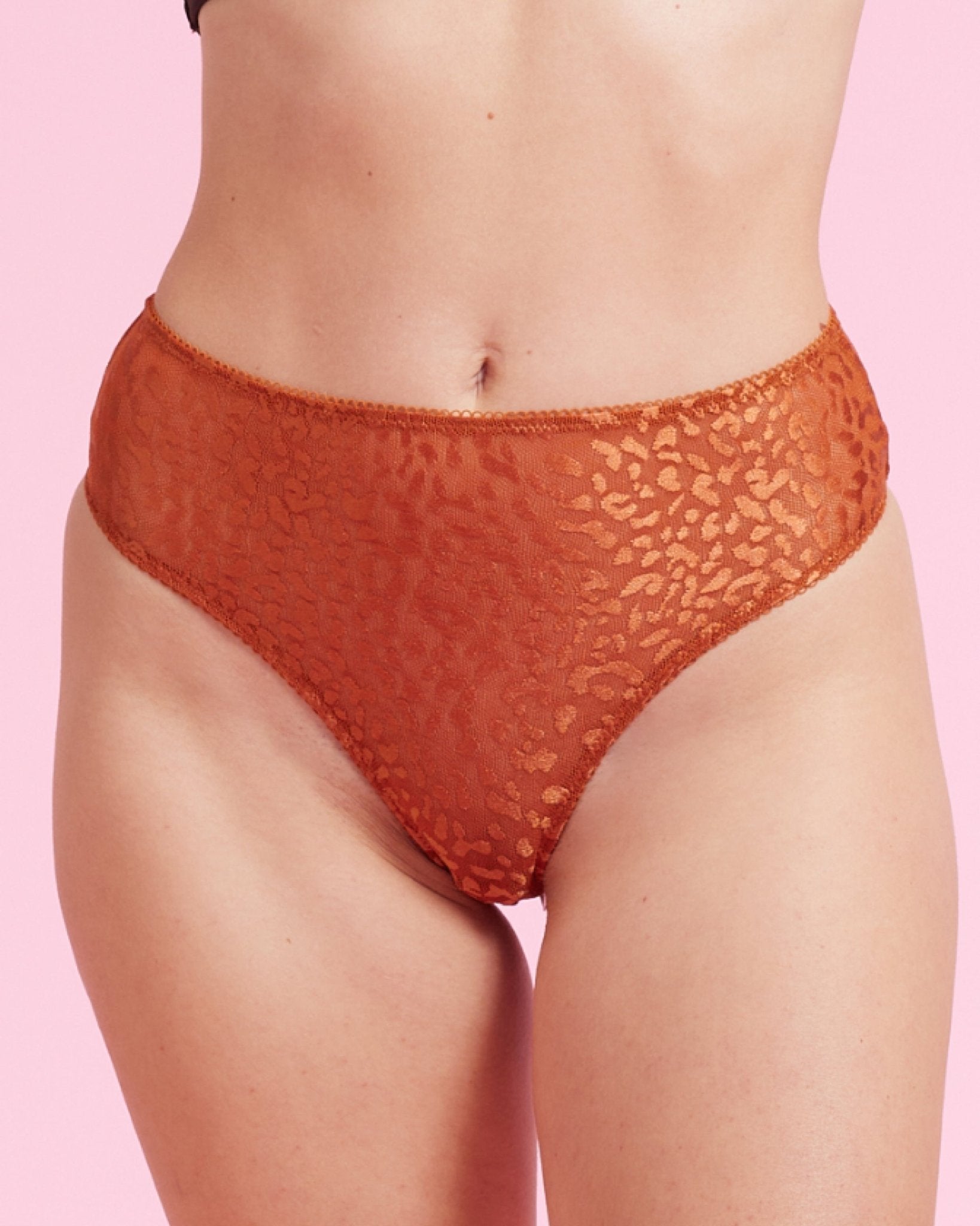 the-female-company-slip-leo-luxury-mesh-unterw-sche image 1