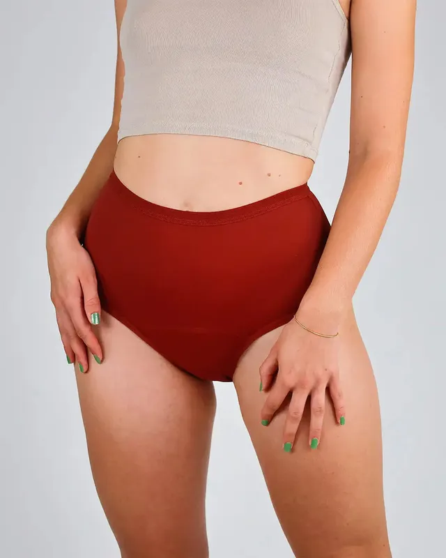 mylily-high-waist-periodenunterw-sche-hagebutte image 1