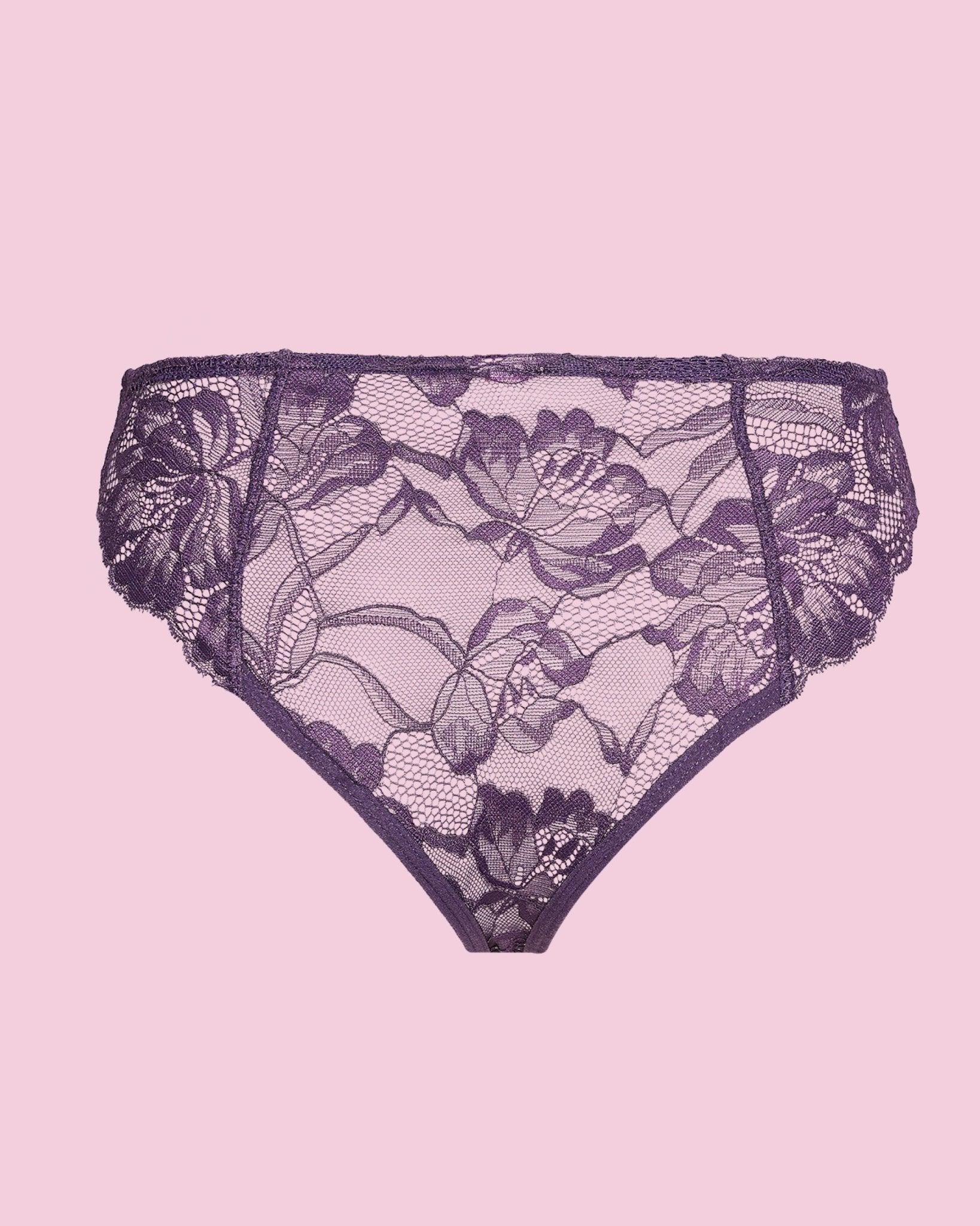 the-female-company-brazilian-luxury-lace-unterhose-spitzen-slip-midnight-purple- image 5