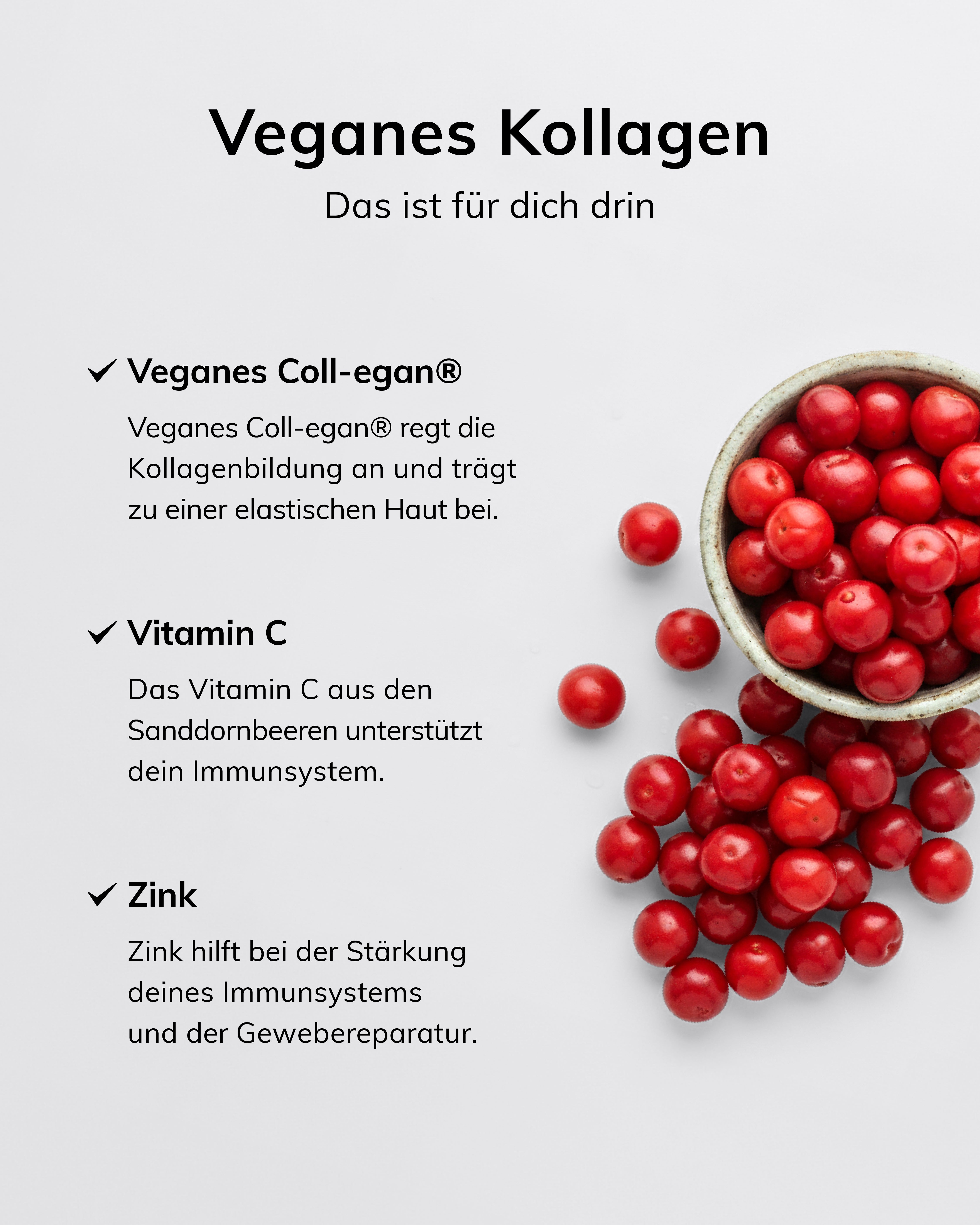 mylily-well-aging-set-n-hrstoffe-mit-vitamin-b6-folat-veganem-coll-egan image 5